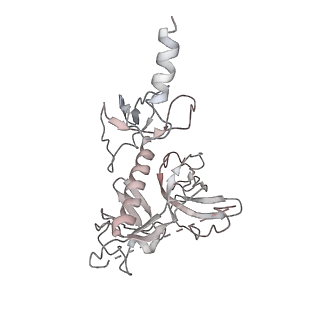 22181_6xgf_H_v1-2
Escherichia coli transcription-translation complex B (TTC-B) containing an 30 nt long mRNA spacer, NusG, and fMet-tRNAs at E-site and P-site