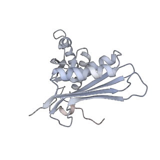 22181_6xgf_I_v1-2
Escherichia coli transcription-translation complex B (TTC-B) containing an 30 nt long mRNA spacer, NusG, and fMet-tRNAs at E-site and P-site