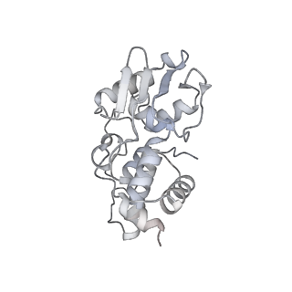 22181_6xgf_J_v1-2
Escherichia coli transcription-translation complex B (TTC-B) containing an 30 nt long mRNA spacer, NusG, and fMet-tRNAs at E-site and P-site