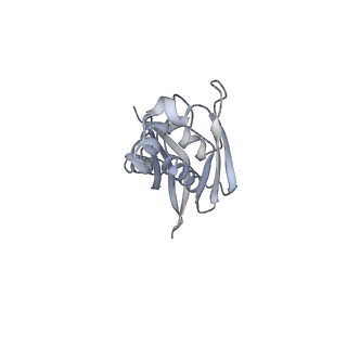 22181_6xgf_K_v1-2
Escherichia coli transcription-translation complex B (TTC-B) containing an 30 nt long mRNA spacer, NusG, and fMet-tRNAs at E-site and P-site