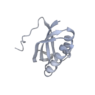 22181_6xgf_L_v1-2
Escherichia coli transcription-translation complex B (TTC-B) containing an 30 nt long mRNA spacer, NusG, and fMet-tRNAs at E-site and P-site