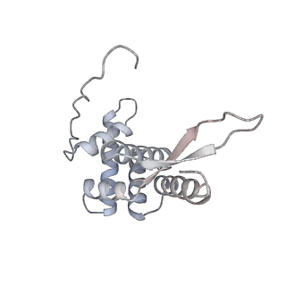 22181_6xgf_M_v1-2
Escherichia coli transcription-translation complex B (TTC-B) containing an 30 nt long mRNA spacer, NusG, and fMet-tRNAs at E-site and P-site