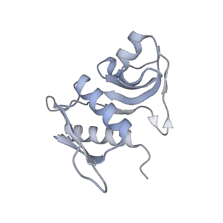22181_6xgf_N_v1-2
Escherichia coli transcription-translation complex B (TTC-B) containing an 30 nt long mRNA spacer, NusG, and fMet-tRNAs at E-site and P-site