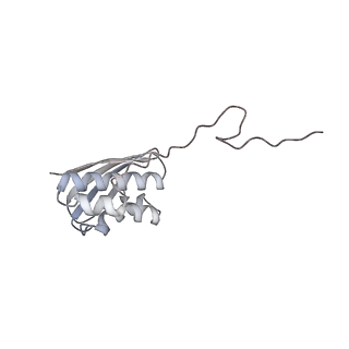 22181_6xgf_O_v1-2
Escherichia coli transcription-translation complex B (TTC-B) containing an 30 nt long mRNA spacer, NusG, and fMet-tRNAs at E-site and P-site