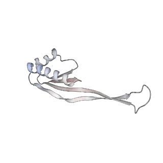 22181_6xgf_P_v1-2
Escherichia coli transcription-translation complex B (TTC-B) containing an 30 nt long mRNA spacer, NusG, and fMet-tRNAs at E-site and P-site