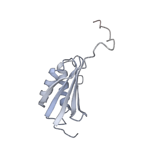 22181_6xgf_Q_v1-2
Escherichia coli transcription-translation complex B (TTC-B) containing an 30 nt long mRNA spacer, NusG, and fMet-tRNAs at E-site and P-site