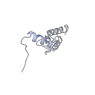 22181_6xgf_S_v1-2
Escherichia coli transcription-translation complex B (TTC-B) containing an 30 nt long mRNA spacer, NusG, and fMet-tRNAs at E-site and P-site