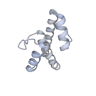 22181_6xgf_T_v1-2
Escherichia coli transcription-translation complex B (TTC-B) containing an 30 nt long mRNA spacer, NusG, and fMet-tRNAs at E-site and P-site