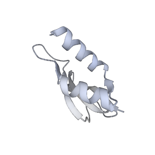 22181_6xgf_U_v1-2
Escherichia coli transcription-translation complex B (TTC-B) containing an 30 nt long mRNA spacer, NusG, and fMet-tRNAs at E-site and P-site