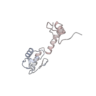 22181_6xgf_X_v1-2
Escherichia coli transcription-translation complex B (TTC-B) containing an 30 nt long mRNA spacer, NusG, and fMet-tRNAs at E-site and P-site