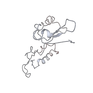 22181_6xgf_Y_v1-2
Escherichia coli transcription-translation complex B (TTC-B) containing an 30 nt long mRNA spacer, NusG, and fMet-tRNAs at E-site and P-site