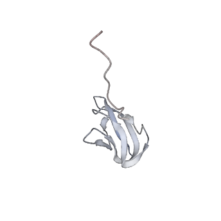 22181_6xgf_b_v1-2
Escherichia coli transcription-translation complex B (TTC-B) containing an 30 nt long mRNA spacer, NusG, and fMet-tRNAs at E-site and P-site