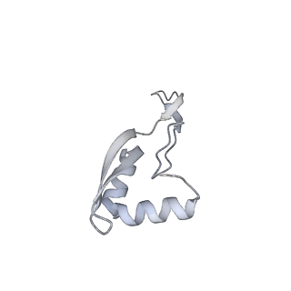 22181_6xgf_c_v1-2
Escherichia coli transcription-translation complex B (TTC-B) containing an 30 nt long mRNA spacer, NusG, and fMet-tRNAs at E-site and P-site