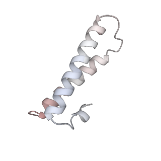 22181_6xgf_e_v1-2
Escherichia coli transcription-translation complex B (TTC-B) containing an 30 nt long mRNA spacer, NusG, and fMet-tRNAs at E-site and P-site