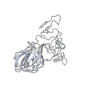 22181_6xgf_h_v1-2
Escherichia coli transcription-translation complex B (TTC-B) containing an 30 nt long mRNA spacer, NusG, and fMet-tRNAs at E-site and P-site