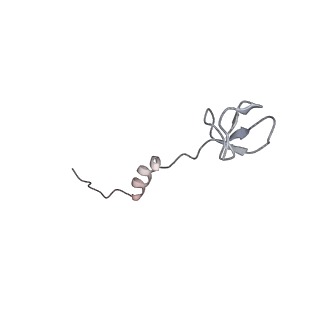 22181_6xgf_i_v1-2
Escherichia coli transcription-translation complex B (TTC-B) containing an 30 nt long mRNA spacer, NusG, and fMet-tRNAs at E-site and P-site