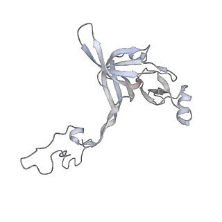 22181_6xgf_j_v1-2
Escherichia coli transcription-translation complex B (TTC-B) containing an 30 nt long mRNA spacer, NusG, and fMet-tRNAs at E-site and P-site