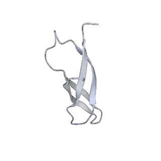 22181_6xgf_k_v1-2
Escherichia coli transcription-translation complex B (TTC-B) containing an 30 nt long mRNA spacer, NusG, and fMet-tRNAs at E-site and P-site