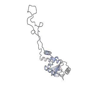 22181_6xgf_l_v1-2
Escherichia coli transcription-translation complex B (TTC-B) containing an 30 nt long mRNA spacer, NusG, and fMet-tRNAs at E-site and P-site