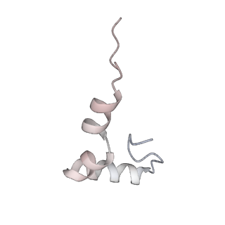 22181_6xgf_m_v1-2
Escherichia coli transcription-translation complex B (TTC-B) containing an 30 nt long mRNA spacer, NusG, and fMet-tRNAs at E-site and P-site