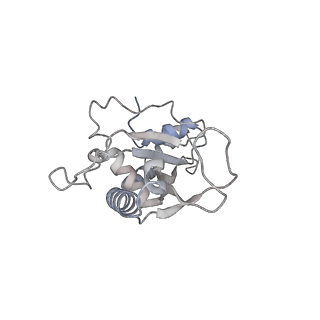 22181_6xgf_n_v1-2
Escherichia coli transcription-translation complex B (TTC-B) containing an 30 nt long mRNA spacer, NusG, and fMet-tRNAs at E-site and P-site