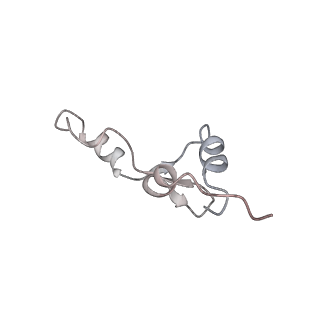 22181_6xgf_o_v1-2
Escherichia coli transcription-translation complex B (TTC-B) containing an 30 nt long mRNA spacer, NusG, and fMet-tRNAs at E-site and P-site