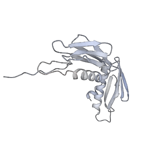 22181_6xgf_p_v1-2
Escherichia coli transcription-translation complex B (TTC-B) containing an 30 nt long mRNA spacer, NusG, and fMet-tRNAs at E-site and P-site