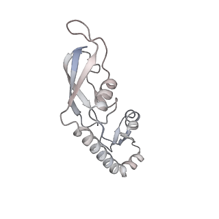 22181_6xgf_r_v1-2
Escherichia coli transcription-translation complex B (TTC-B) containing an 30 nt long mRNA spacer, NusG, and fMet-tRNAs at E-site and P-site
