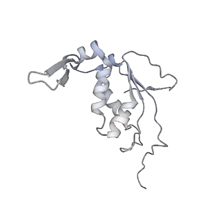 22181_6xgf_s_v1-2
Escherichia coli transcription-translation complex B (TTC-B) containing an 30 nt long mRNA spacer, NusG, and fMet-tRNAs at E-site and P-site