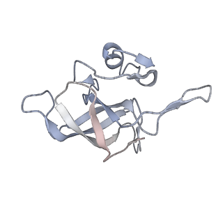 22181_6xgf_t_v1-2
Escherichia coli transcription-translation complex B (TTC-B) containing an 30 nt long mRNA spacer, NusG, and fMet-tRNAs at E-site and P-site