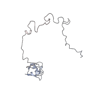 22181_6xgf_u_v1-2
Escherichia coli transcription-translation complex B (TTC-B) containing an 30 nt long mRNA spacer, NusG, and fMet-tRNAs at E-site and P-site