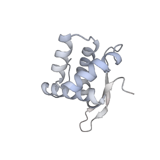 22181_6xgf_w_v1-2
Escherichia coli transcription-translation complex B (TTC-B) containing an 30 nt long mRNA spacer, NusG, and fMet-tRNAs at E-site and P-site
