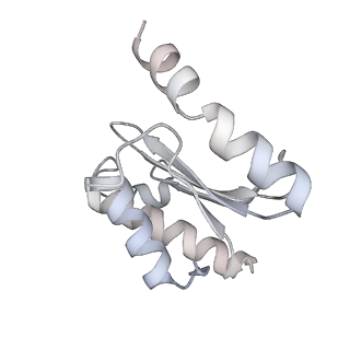 22181_6xgf_x_v1-2
Escherichia coli transcription-translation complex B (TTC-B) containing an 30 nt long mRNA spacer, NusG, and fMet-tRNAs at E-site and P-site