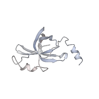 22181_6xgf_y_v1-2
Escherichia coli transcription-translation complex B (TTC-B) containing an 30 nt long mRNA spacer, NusG, and fMet-tRNAs at E-site and P-site