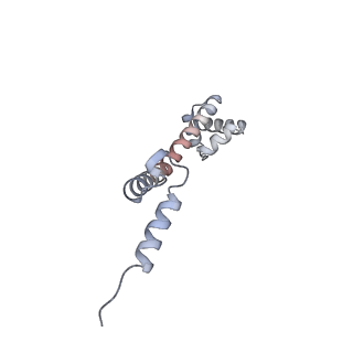 22181_6xgf_z_v1-2
Escherichia coli transcription-translation complex B (TTC-B) containing an 30 nt long mRNA spacer, NusG, and fMet-tRNAs at E-site and P-site