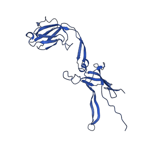 22183_6xgr_A_v1-2
YSD1 major tail protein