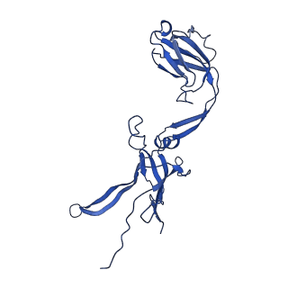 22183_6xgr_B_v1-2
YSD1 major tail protein