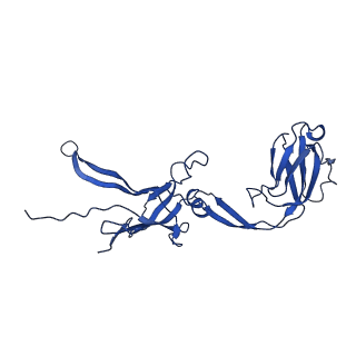 22183_6xgr_C_v1-2
YSD1 major tail protein