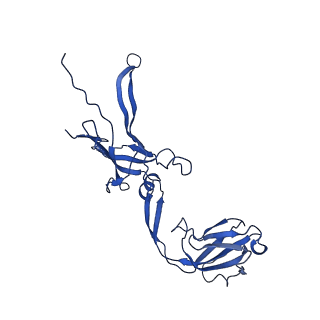 22183_6xgr_D_v1-2
YSD1 major tail protein