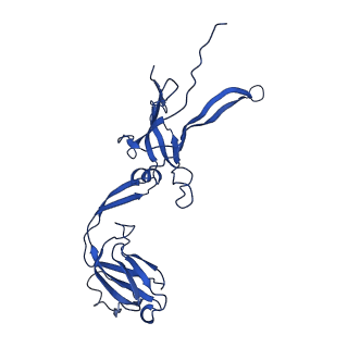 22183_6xgr_E_v1-2
YSD1 major tail protein