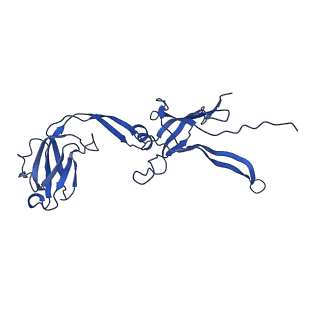 22183_6xgr_F_v1-2
YSD1 major tail protein