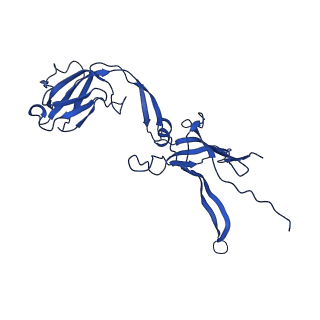 22183_6xgr_G_v1-2
YSD1 major tail protein
