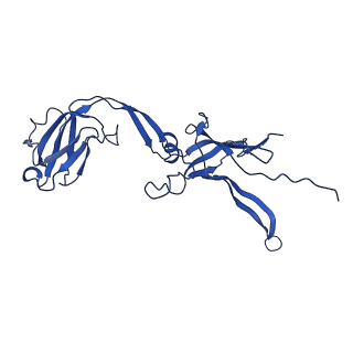 22183_6xgr_H_v1-2
YSD1 major tail protein