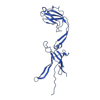 22183_6xgr_I_v1-2
YSD1 major tail protein