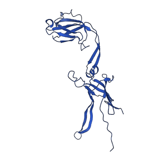 22183_6xgr_J_v1-2
YSD1 major tail protein