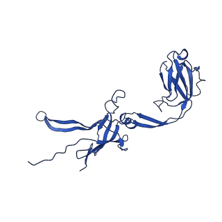 22183_6xgr_K_v1-2
YSD1 major tail protein