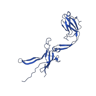 22183_6xgr_L_v1-2
YSD1 major tail protein