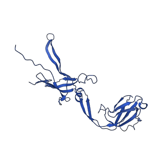 22183_6xgr_M_v1-2
YSD1 major tail protein