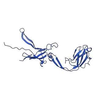 22183_6xgr_N_v1-2
YSD1 major tail protein