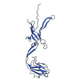 22183_6xgr_O_v1-2
YSD1 major tail protein